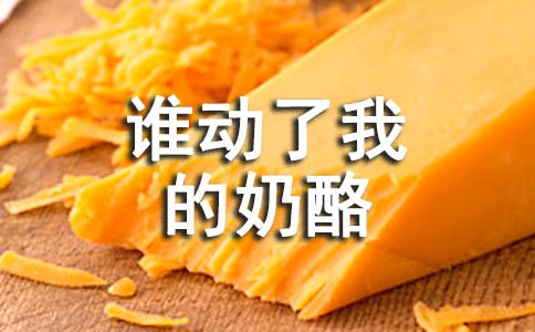 《誰動(dòng)了我的奶酪》讀后感14篇