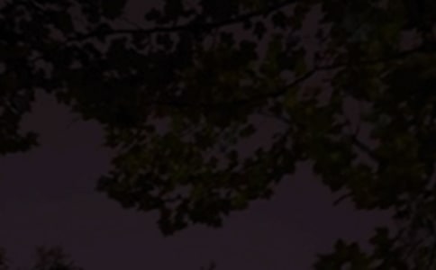 ���T��������ף���Z��ͨ��135�䣩