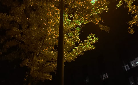 �P�ڄ�־����ף���Z��ȫ�����x65�䣩