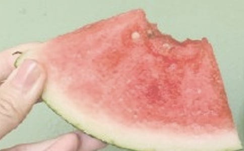 夏日的邀請函集錦五篇