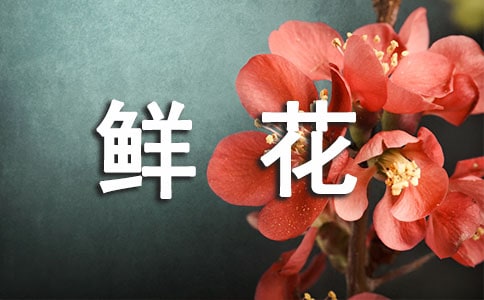 �r��ӆُ��ͬ