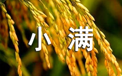 �׃��@С�M��(ji��)���L������Ľ̰���ͨ��11ƪ��