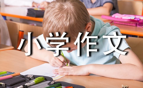 С�W(xu��)�����ҵ�С����15ƪ
