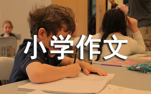 精選我愛書法小學作文4篇