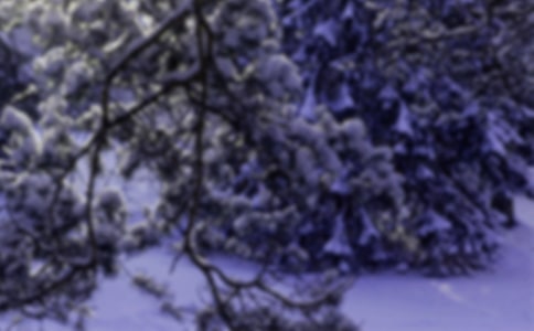 小雪唯美簡短文案