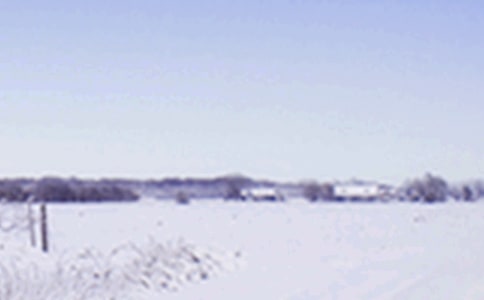 ���P(gu��n)Сѩ�ĺ�(ji��n)���İ�
