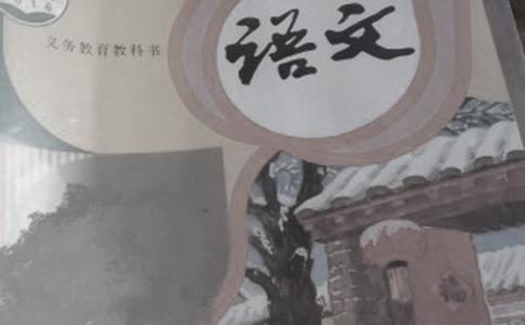 語文培優(yōu)補(bǔ)差工作計(jì)劃(15篇)