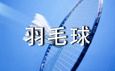 羽毛球心得體會