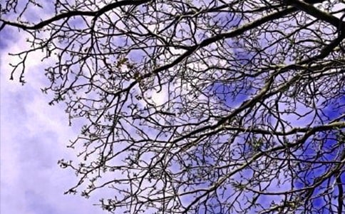 �P(gu��n)������Ȧ�簲ף���Z��ȫ160�侫�x
