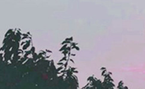 常用美好的早安朋友圈祝福語29條