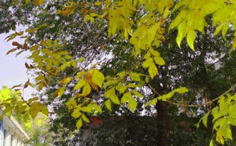 ����ů���簲�İ������x75�䣩