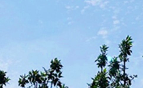 ���]��ܰ�簲�İ�95��