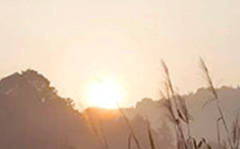 �簲ף���Z�R����ͨ��50�䣩