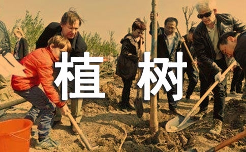 《走,我們去植樹》教學設計模板