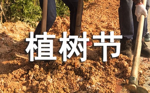 ֲ�九(ji��)�W(xu��)���������v��