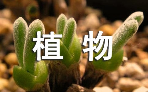 �n�ġ�ֲ������k�����̰��OӋ����