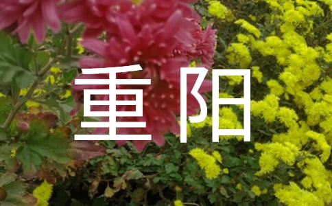社區重陽敬老活動方案