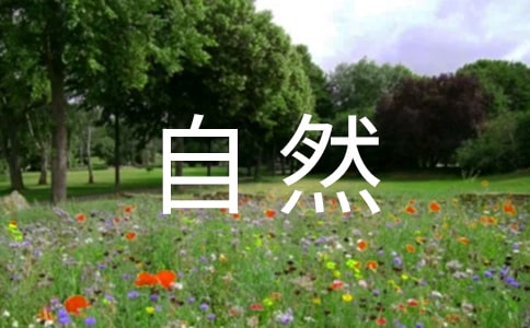 ������Ȼ���������u�n�塾��(y��u)�㡿