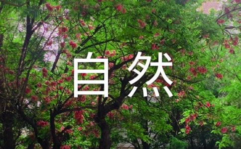 ������Ȼ���������u(p��ng)�n�徫�A��15ƪ��